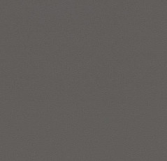 Линолеум Forbo Sarlon Colour 15dB 869T4315 charcoal uni фото 1 | FLOORDEALER